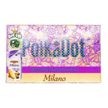 Polkadot | Milano | 4g